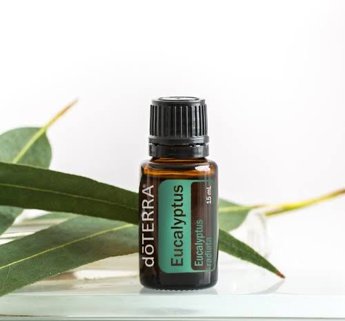 doTERRA Eucalyptus Essential Oil 15ml